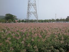 -文华公园(禅城区)