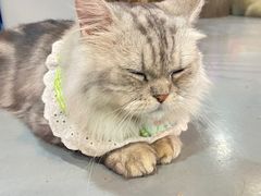 -顺德南宏海立方海洋公园