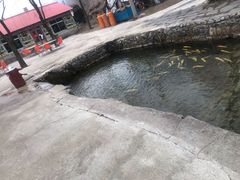 -可心烤鱼