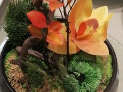 -普天和酒楼(天津之眼店)