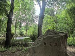 -黑龙江省森林植物园