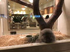 -龙猫仔乐园(惠福东路店)