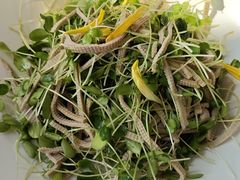 -红菜坊·烤鸭·川鲁宴(石园店)