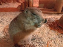 -酷嗒动物文化乐园(cutezoo西溪乐天城店)