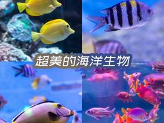 -正佳极地海洋世界