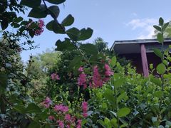 -国家植物园南园