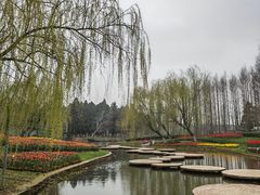 -东平国家森林公园