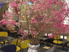 -麦当劳(花桥得来速店)