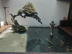 -觀芷隐轩