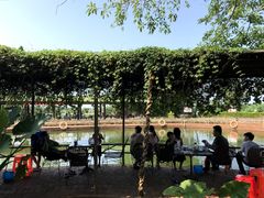 -侯臣咖啡文化村