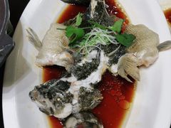 -丰收日·小海鲜·沪上家宴(顾村正大店)
