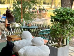 -三忘湖 SWANSEEN(柳荫公园店)