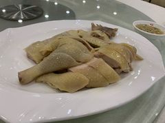 -姚林轩