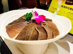 新西兰毛肚-巴奴毛肚火锅概念餐厅