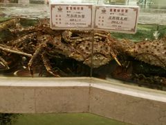 -白金汉爵大酒店(相城店)