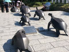 -广东惠东海龟国家级自然保护区