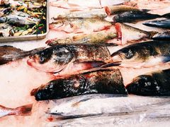 -莆鑫海鲜城(浏河店)