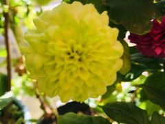 -长沙滨江文化园