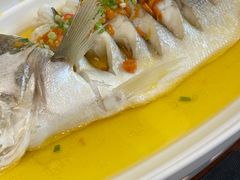 -九福楼大酒店