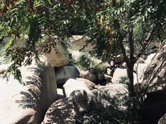 -碓臼峪自然风景区