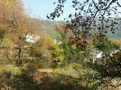 -塔川景区