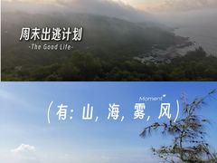-广东惠东海龟国家级自然保护区