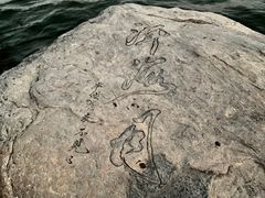 -大理洱海