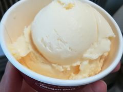 橙香柚子冰淇淋-哈根达斯(万象城店)