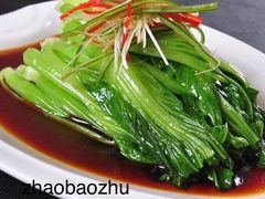 -爱月宝月嫂·育儿嫂(哈尔滨总店)