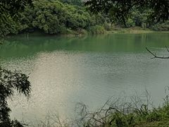 -水濂山森林公园