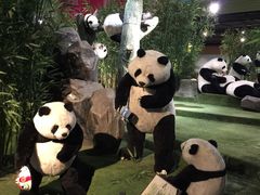-成都泰迪熊博物馆