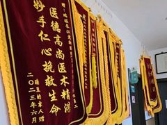 -瑞派长江宠物医院·猫科·外科·24小时夜护(谊城公寓分院)