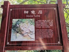 -周洛大峡谷