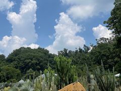 -深圳仙湖植物园