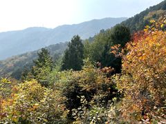 -香山公园