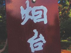 -半天妖烤鱼(芝罘万达店)