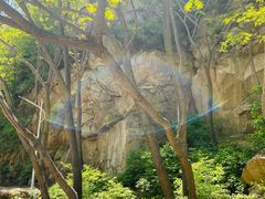 -大岭沟猕猴桃谷风景区