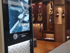 -知音艺术教育培训·钢琴培训·音乐培训(河西金鹰世界校区)