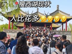 -陈记菜馆·非遗淮扬菜(东关街教场店)
