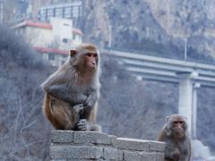 -山西通天峡景区