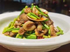 -三强鸽子(中原路店)
