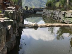 -中国傩城