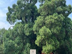 -四门塔风景区
