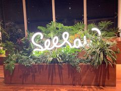 -Seesaw Coffee(朝阳大悦城店)