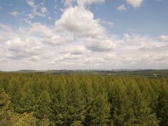 -塞罕坝国家级自然保护区