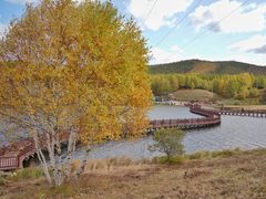 -塞罕坝国家级自然保护区