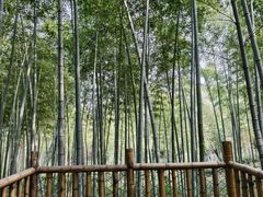 -陶祖圣境风景区