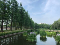 -圩墩遗址公园