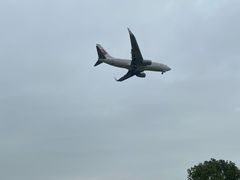 -空港花田景区