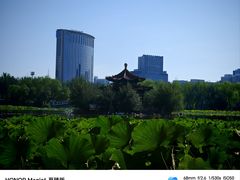 -青城公园